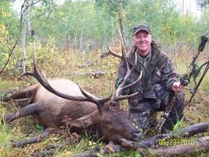 Hunter kneels next to a dead elk in a forest, holding a bow.