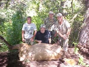 Four people standing over a dead elk in a wooded area. Three in camo, one in a white shirt.