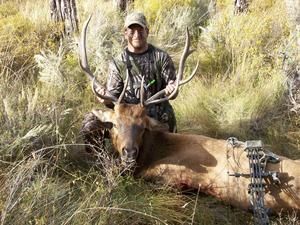 Man in camo with a harvested elk, bow in frame, in a grassy field.