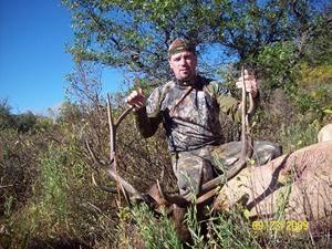 Hunter in camouflage sits near a dead elk, holding antlers, in a field, sunny day.