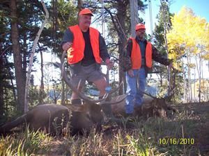 Two hunters in orange vests stand beside two dead elk in a wooded area; date stamp reads 10/16/2010.