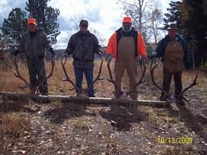 Four hunters holding large elk antlers, standing in a wooded area on a sunny day.