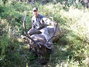 Man sits on a large elk with large antlers in a grassy outdoor setting.