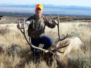 Hunter kneeling next to a harvested elk, holding its antlers. He wears camouflage and an orange hat, outdoors in a field.