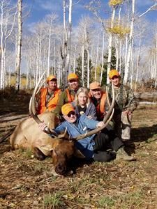 Group of hunters pose with a large elk in a forest setting; all wearing orange hats and vests.