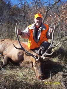 Hunter in orange vest kneels beside a dead elk with large antlers, thumbs up, outdoors.