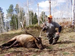 Hunter kneels beside a dead elk in a forest. Man wears camouflage and orange hat, holding rifle.