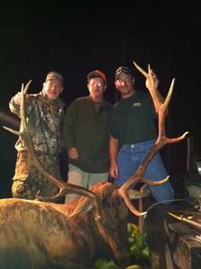 Three men pose with a large elk, antlers held high. At night; one in camo, others in jeans and shirts.
