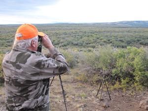 Hunter wearing orange hat and camouflage shirt looks through binoculars at a distant field.