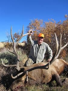 Man kneeling next to large elk with antlers, raising one arm in a wooded setting under a blue sky.