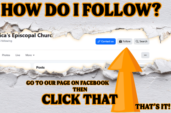 Instructional graphic showing a Facebook follow button with a large orange arrow and text explaining how to follow a page.