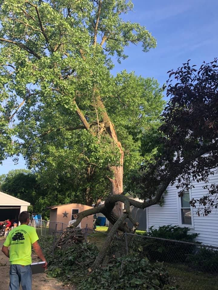 Removing Broken Branches Of Tree From The Backyard - Orion, MI - L & L Tree Service-LO, Inc