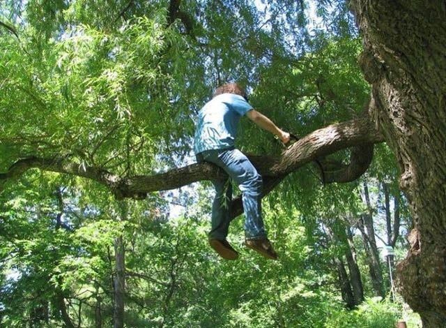 Cutting Branch Using A Saw - Orion, MI - L & L Tree Service-LO, Inc