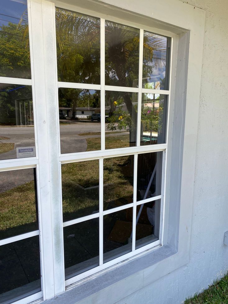 White-framed window with multiple panes reflecting trees and buildings outside. The frame is painted white.
