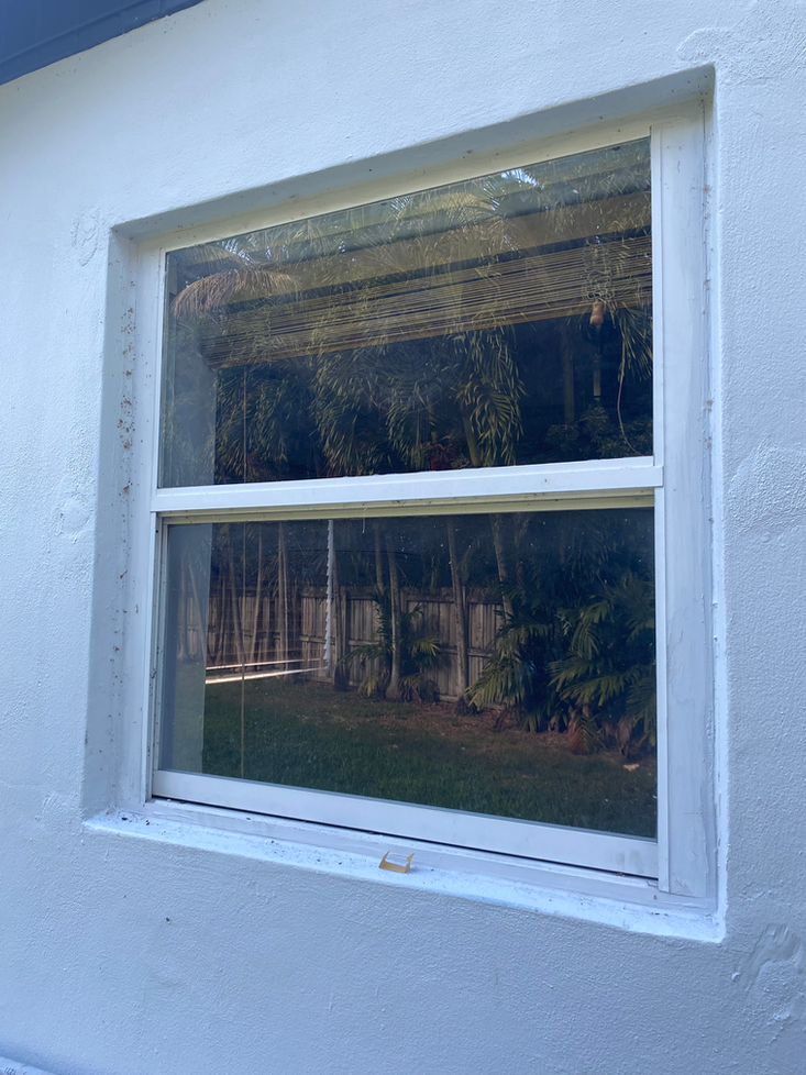White-framed window set in white wall, reflecting a backyard with trees and a fence.
