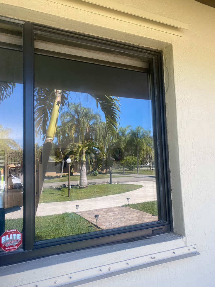 Window with dark frame reflecting a sunny outdoor scene with palm trees and a sidewalk.