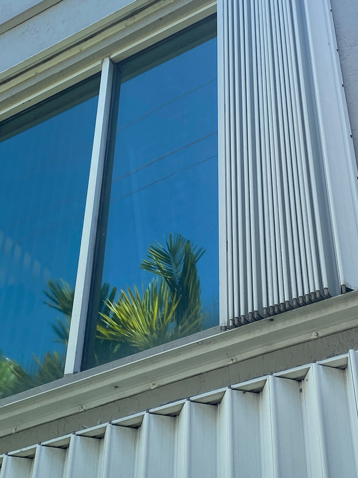 Window with blue sky and palm tree reflection, white vertical blinds.