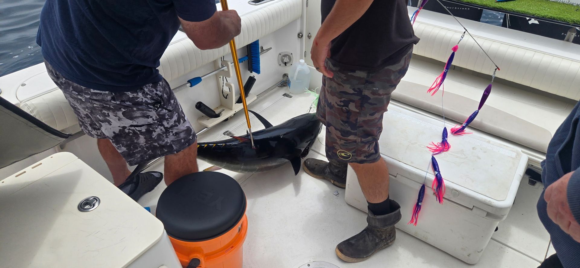 tuna charter CA