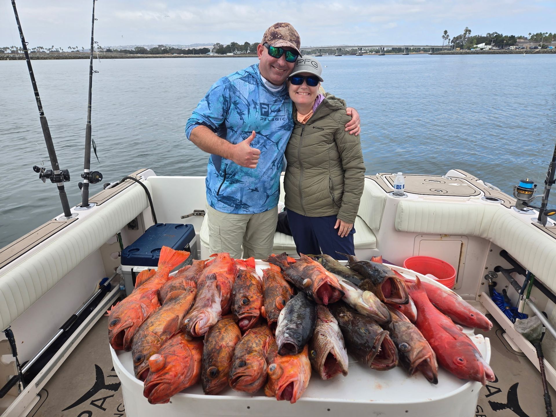 Today's fish catch