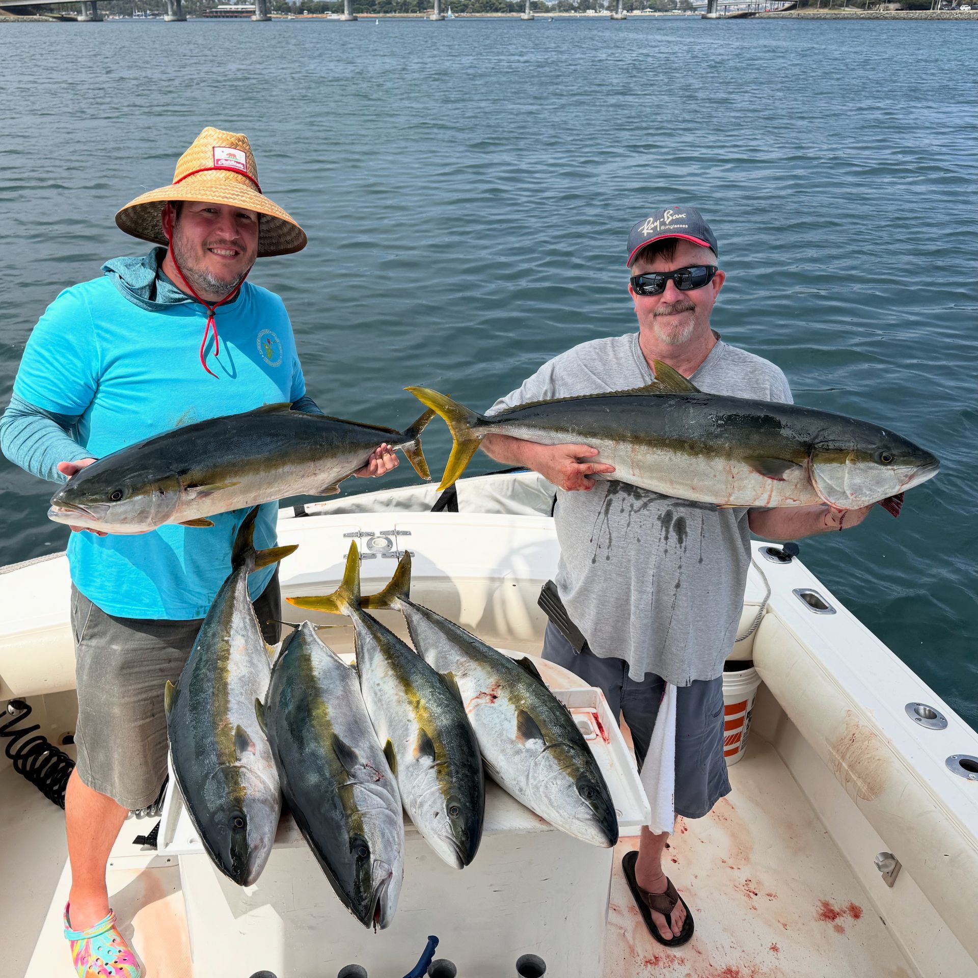 yellowtail trips
