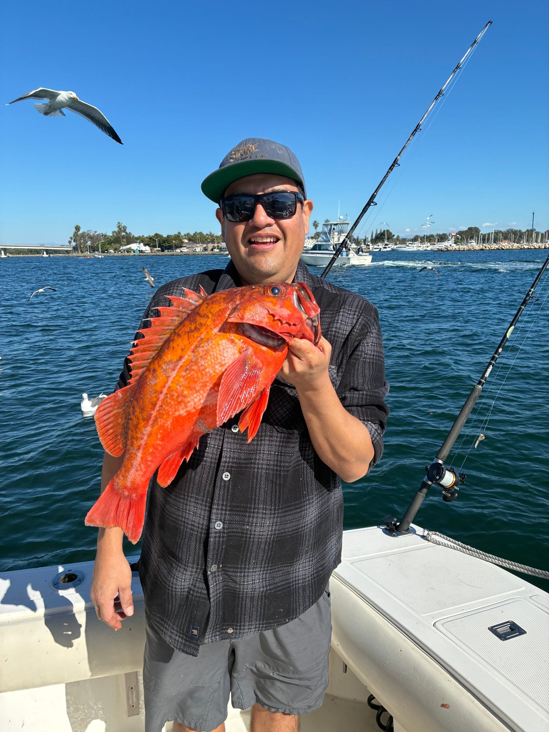 Fishing Charter for Rockfish in San Diego, CA