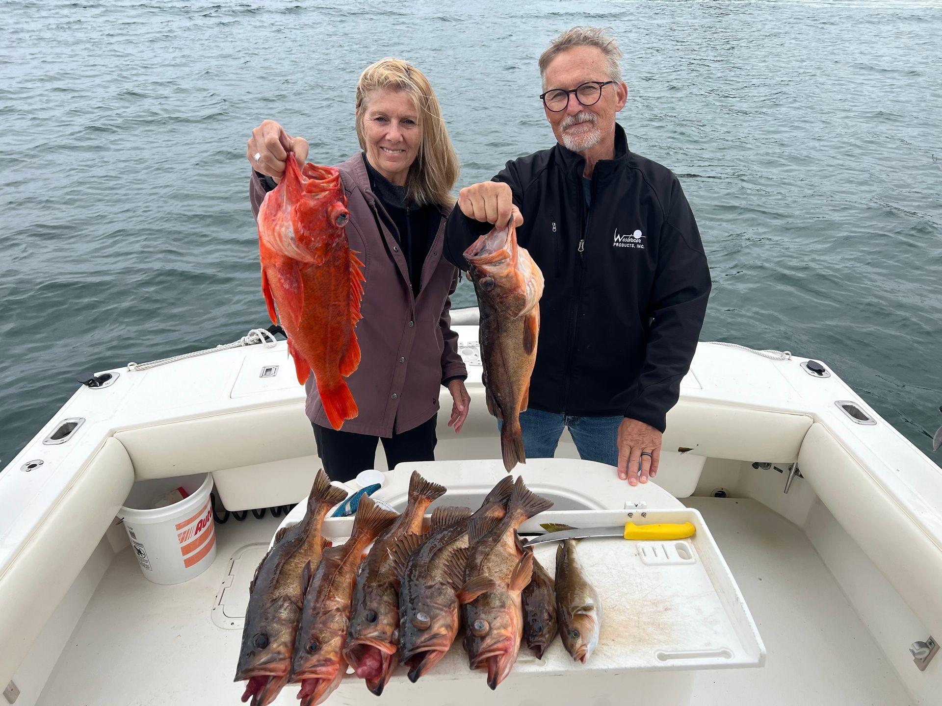catch fish