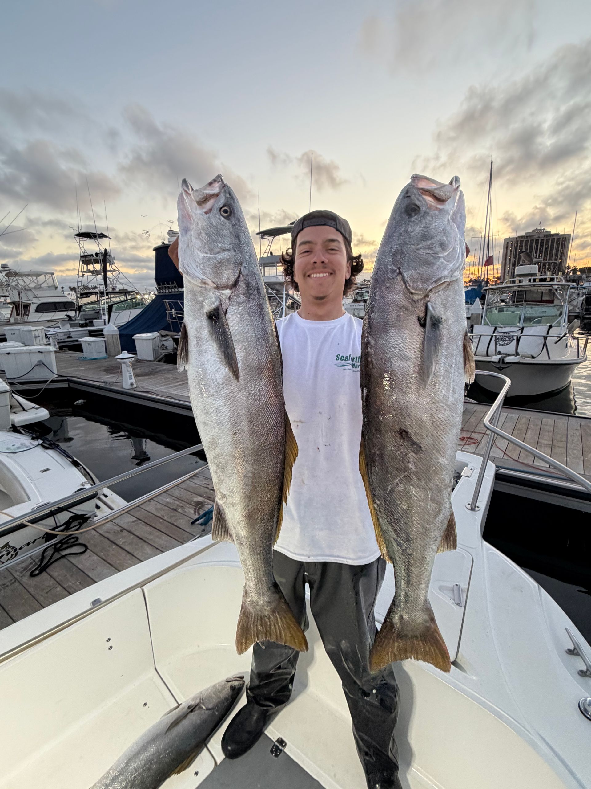 white sea bass fishing charter San Diego