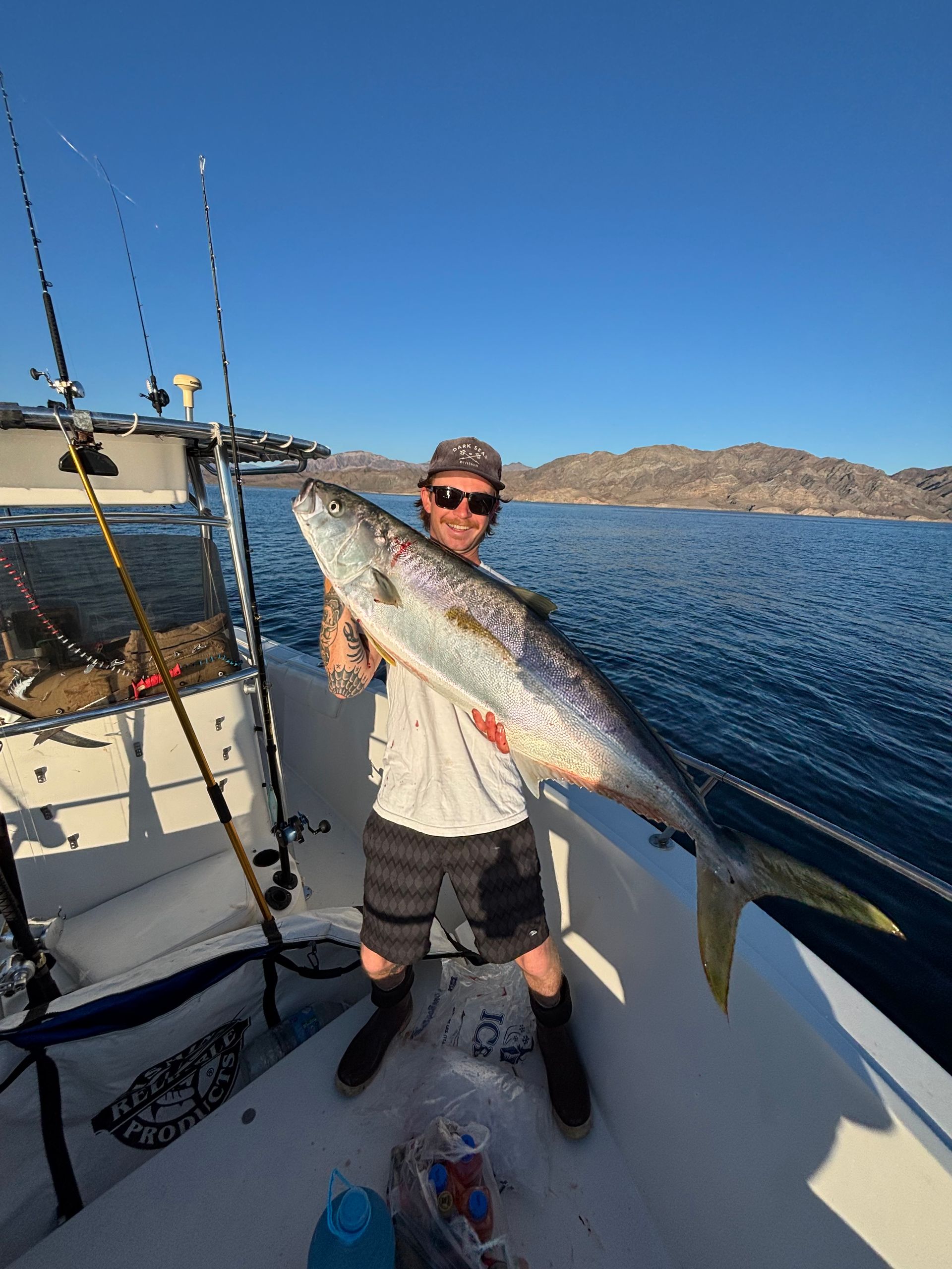 San Diego Yellowtail Charter