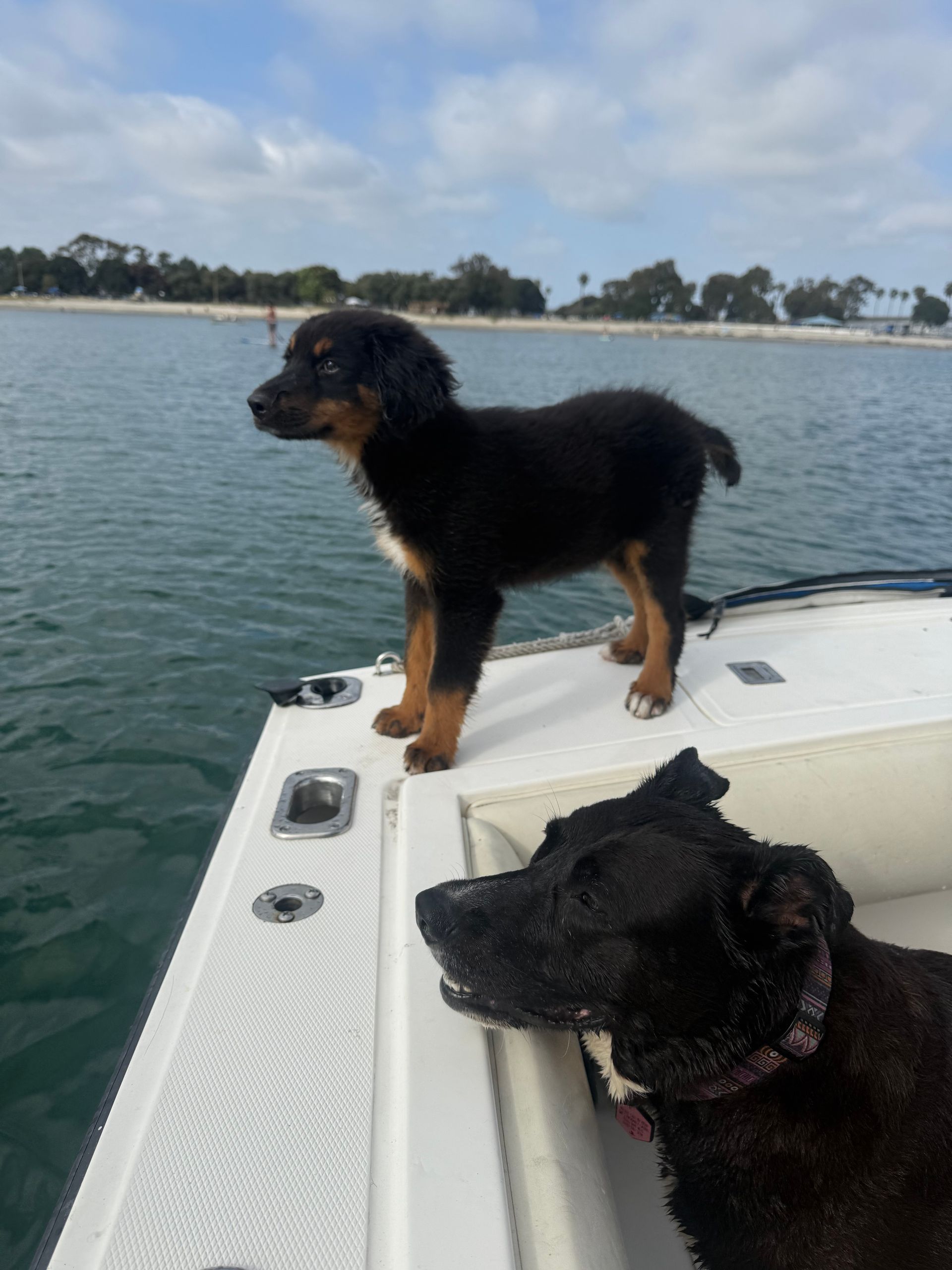 fishing reports