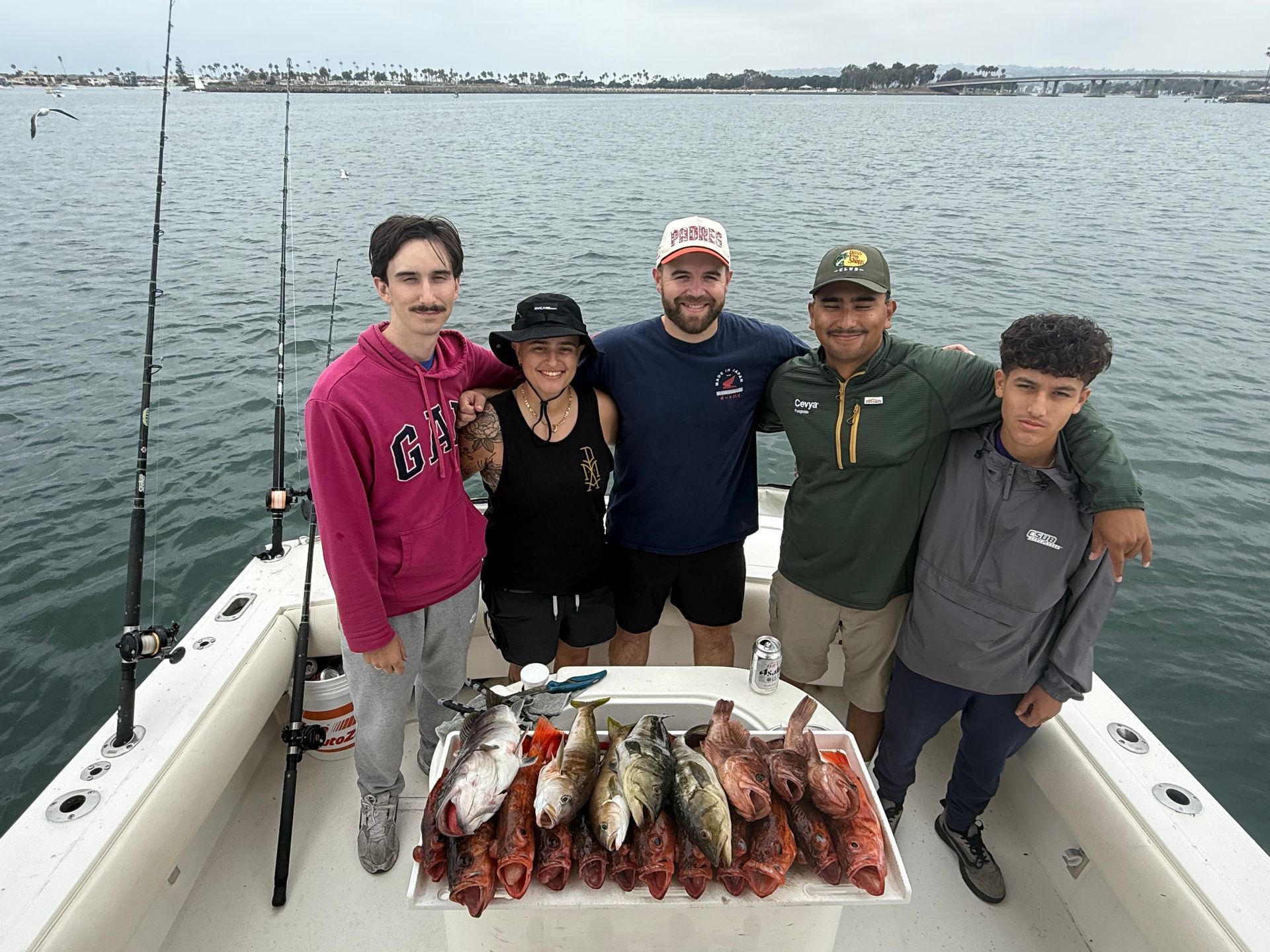 good catch of fish