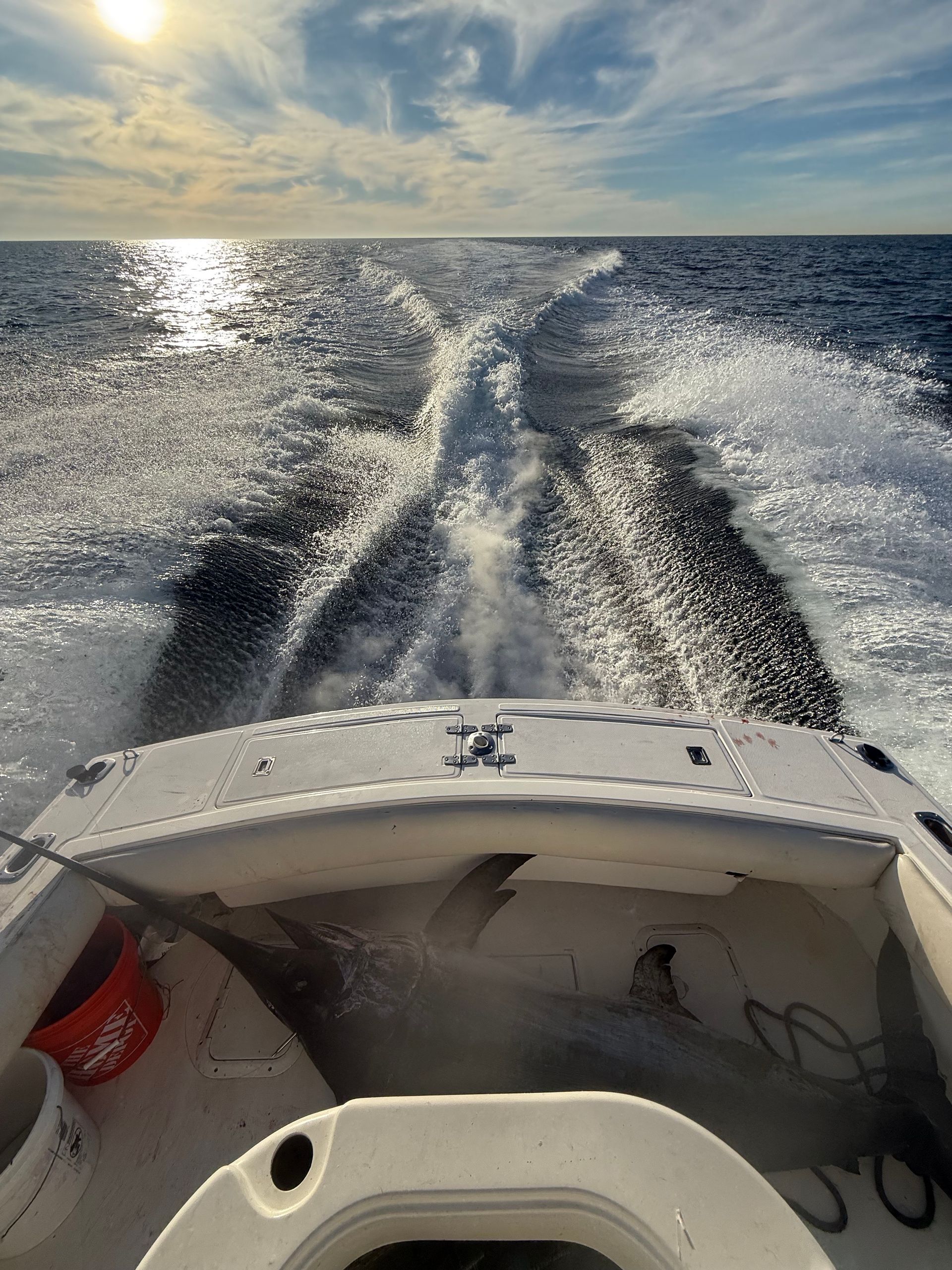 Fishing report out of San Diego, CA