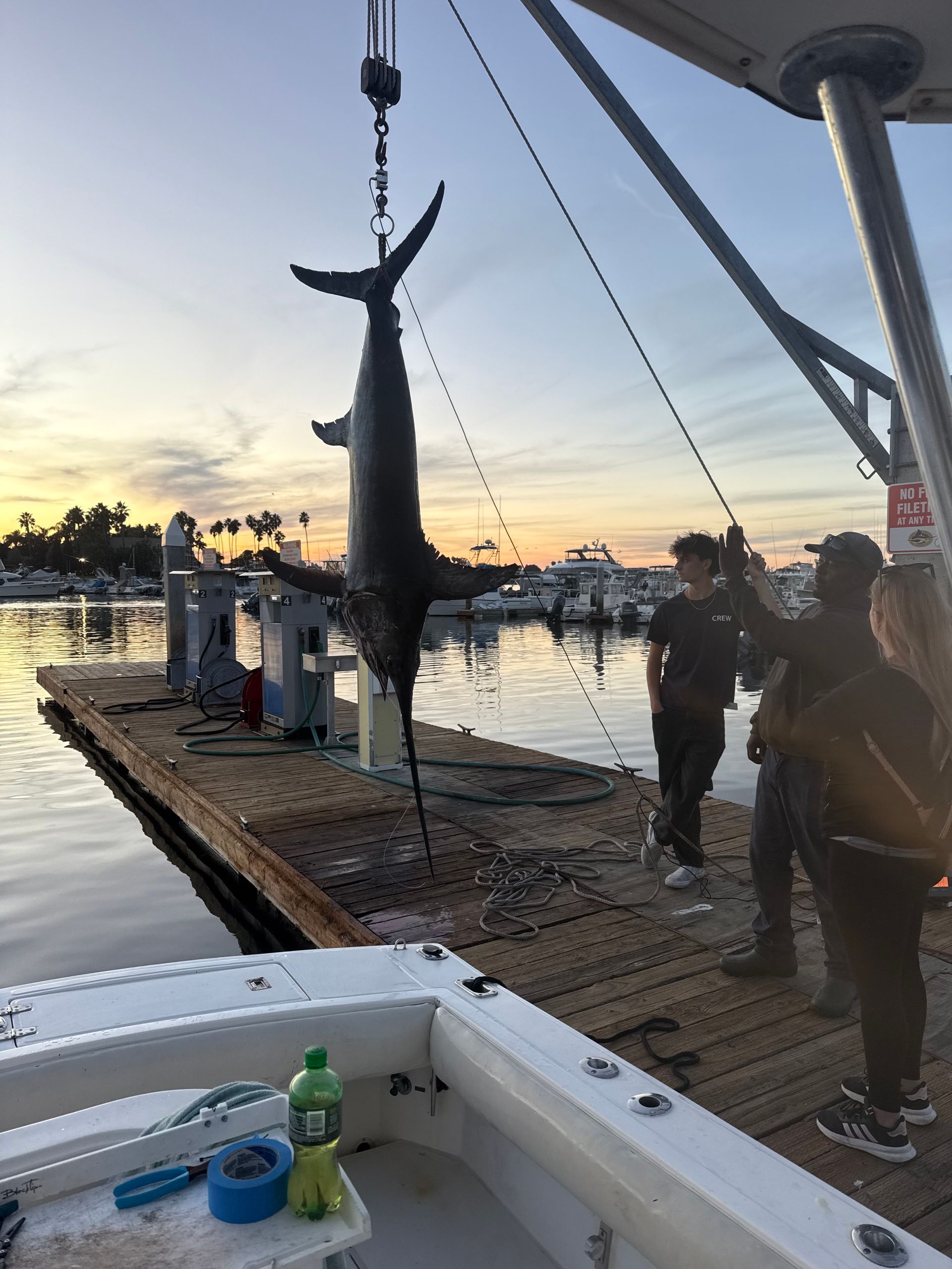Fishing Guide for Swordfish San Diego