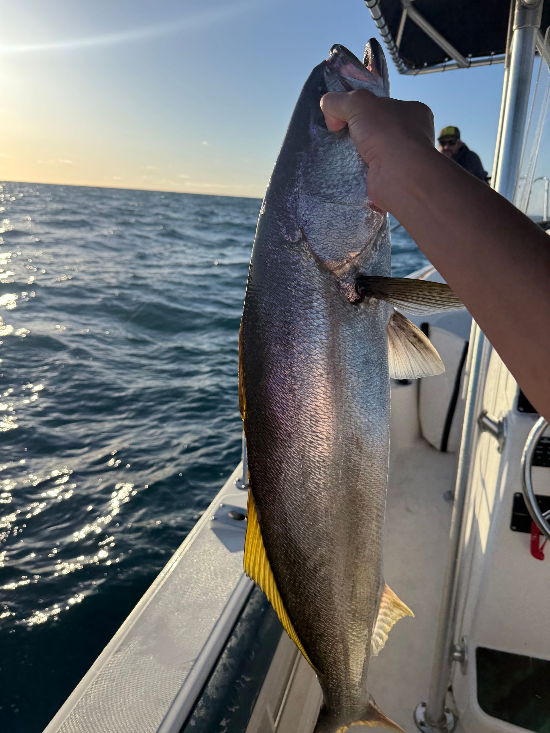 San Diego Sportfishing Charter Boat