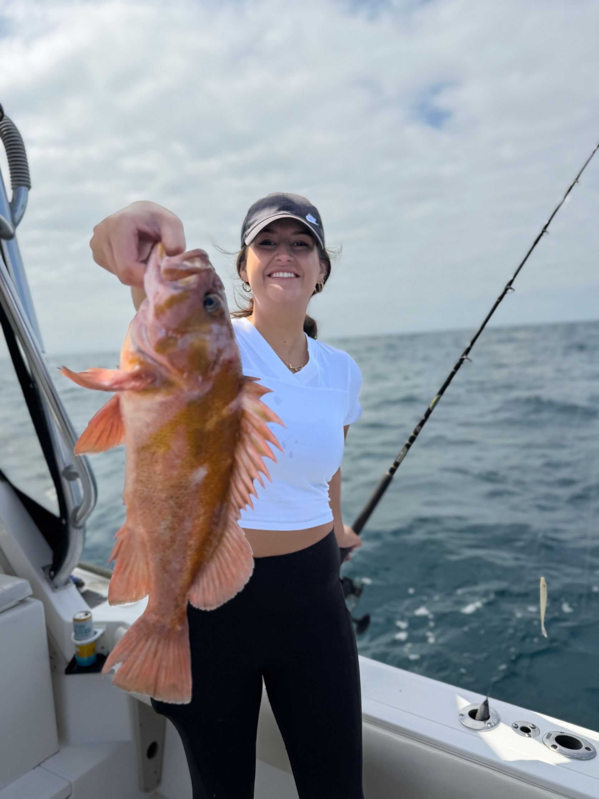 Vermillion Rockfish Guide San Diego