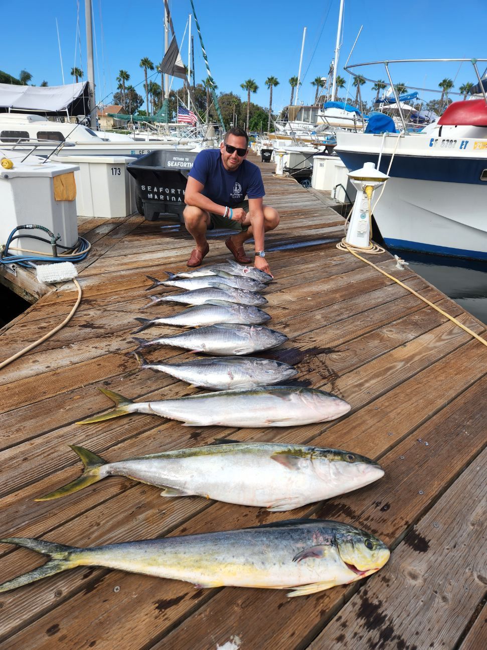 A man is kneeling down next to a bunch of fish on a dock.