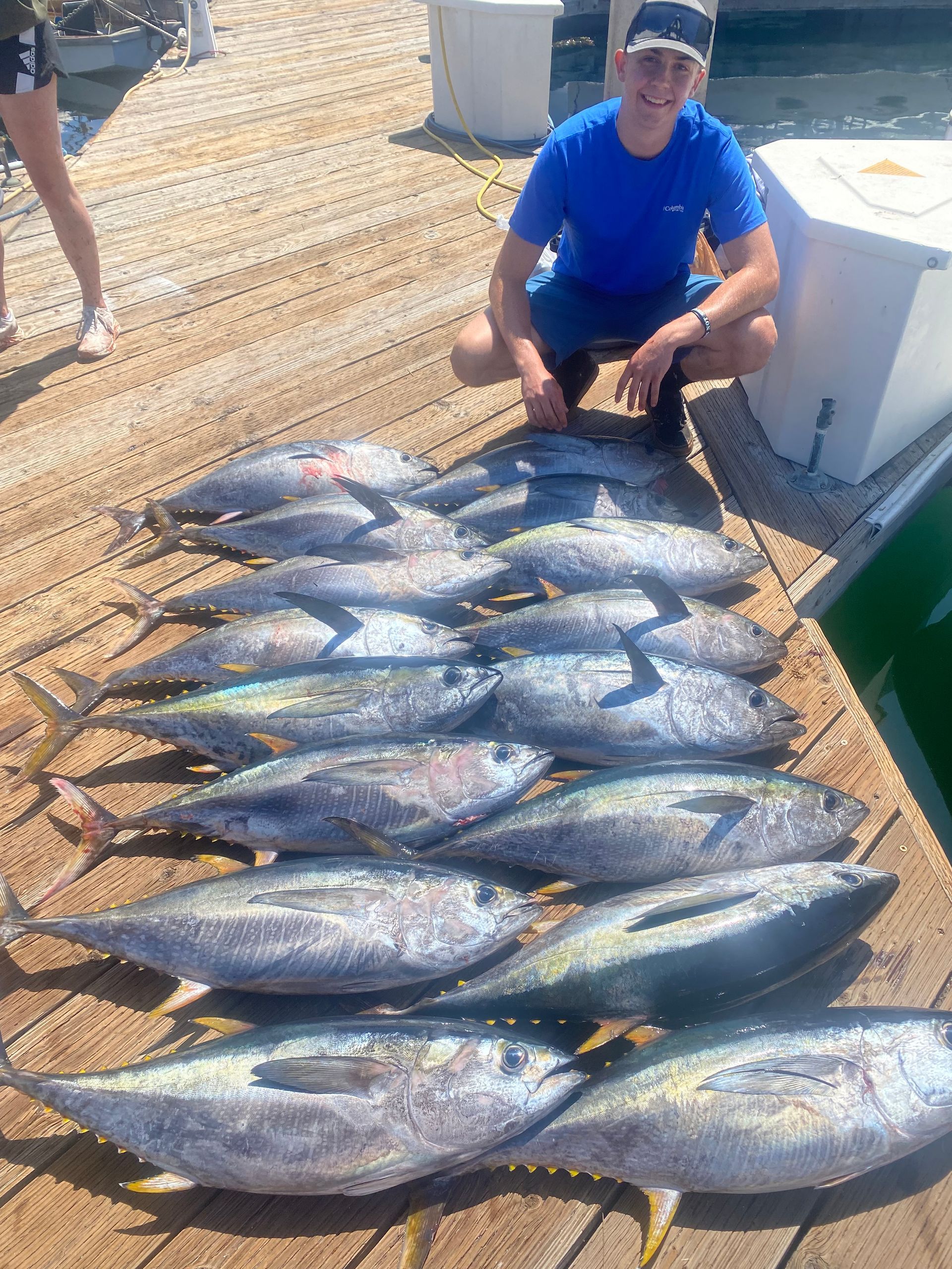 A man is kneeling down next to a pile of fish on a dock.