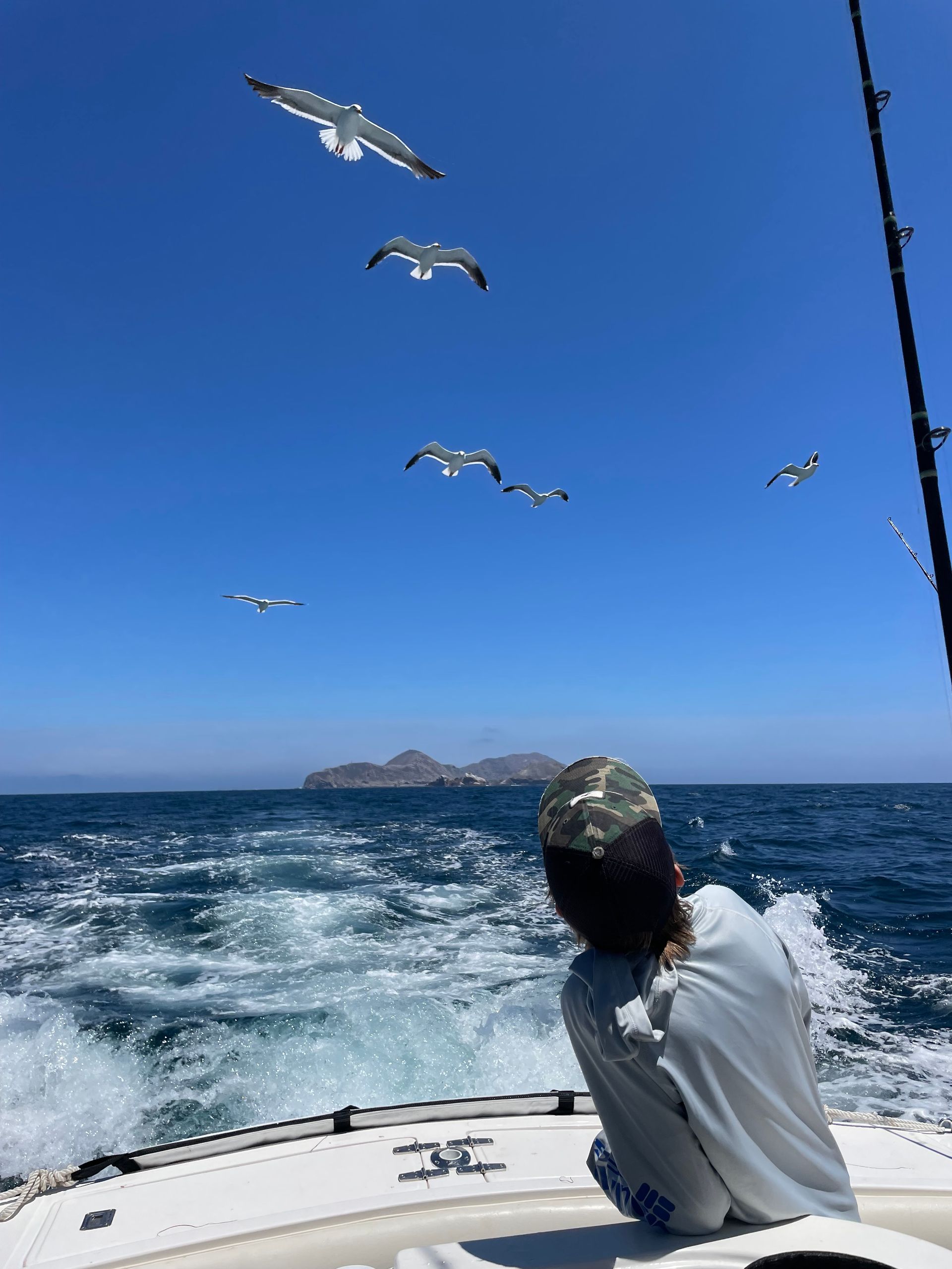 A man sitting on a boat looking at seagulls
