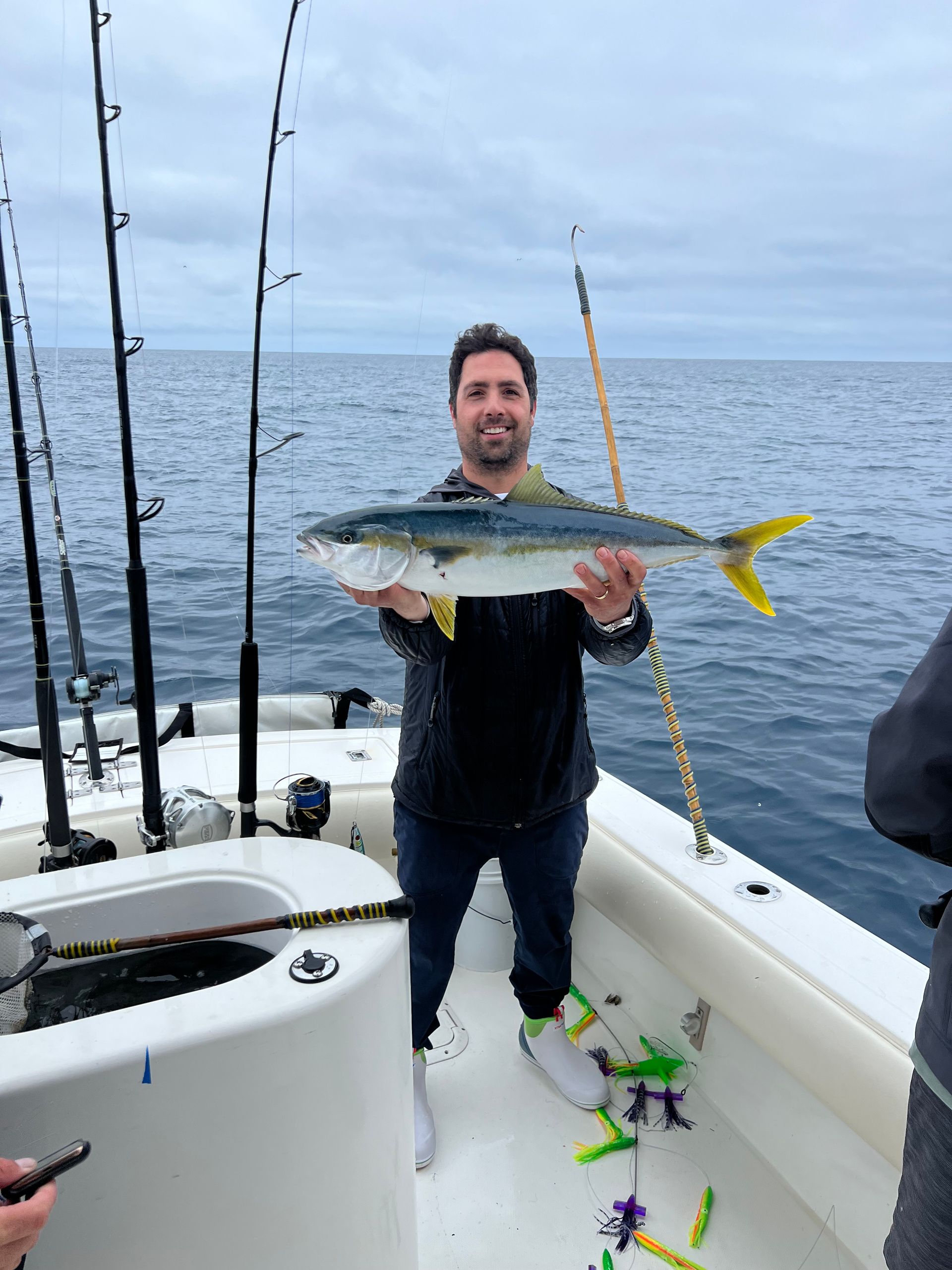 yellowtail charter
