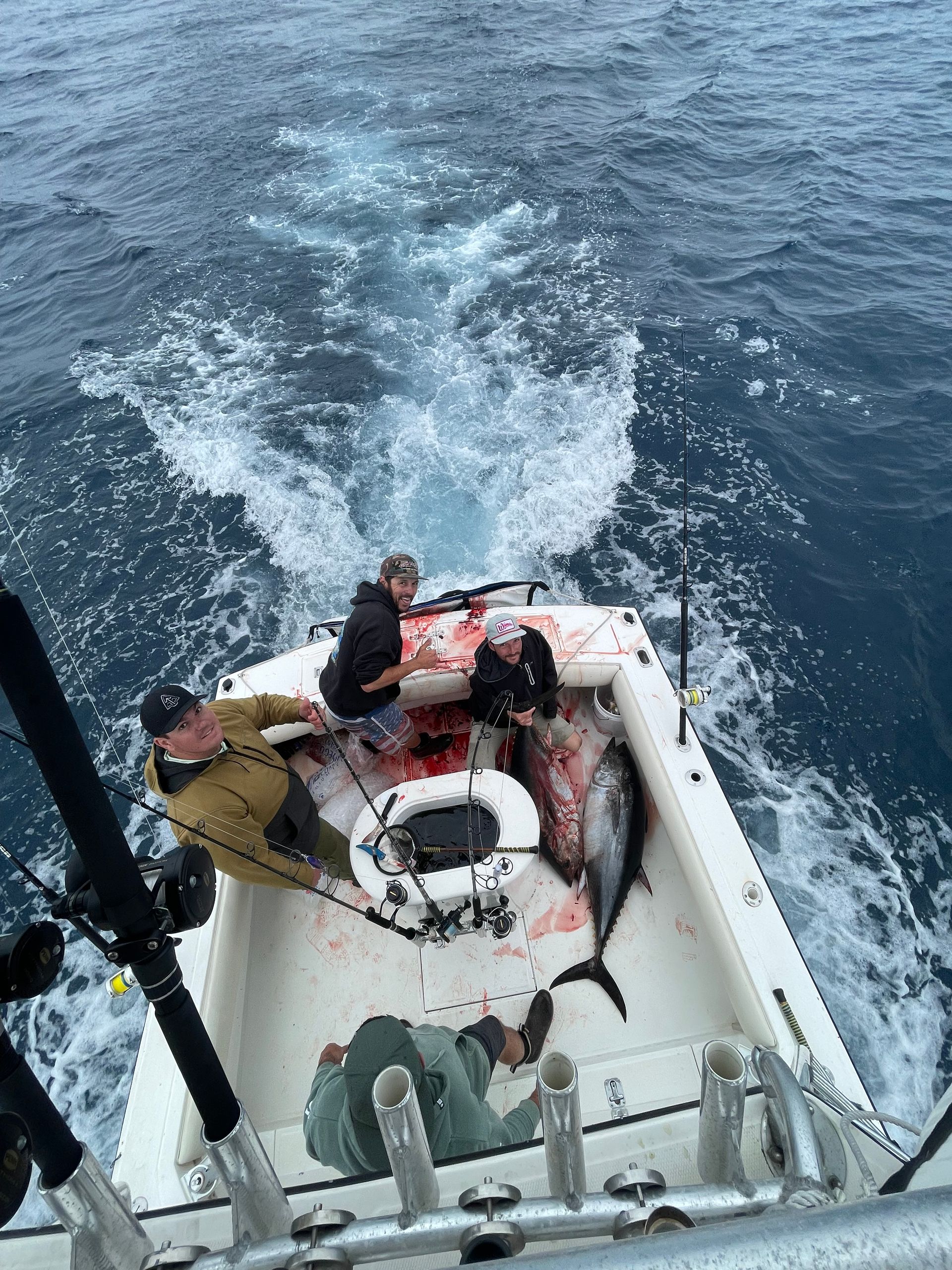 trolling for tuna