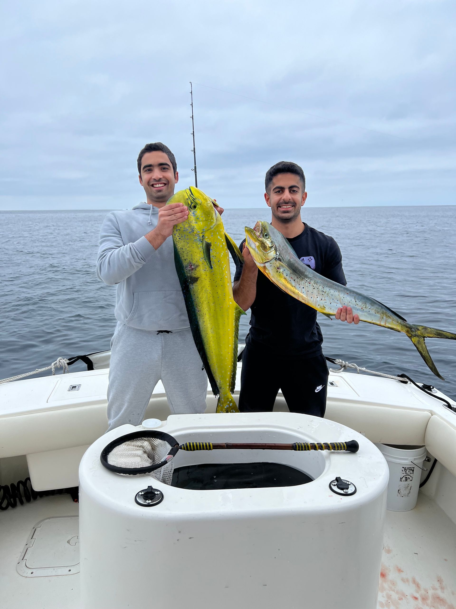 deep sea sportfishing san diego
