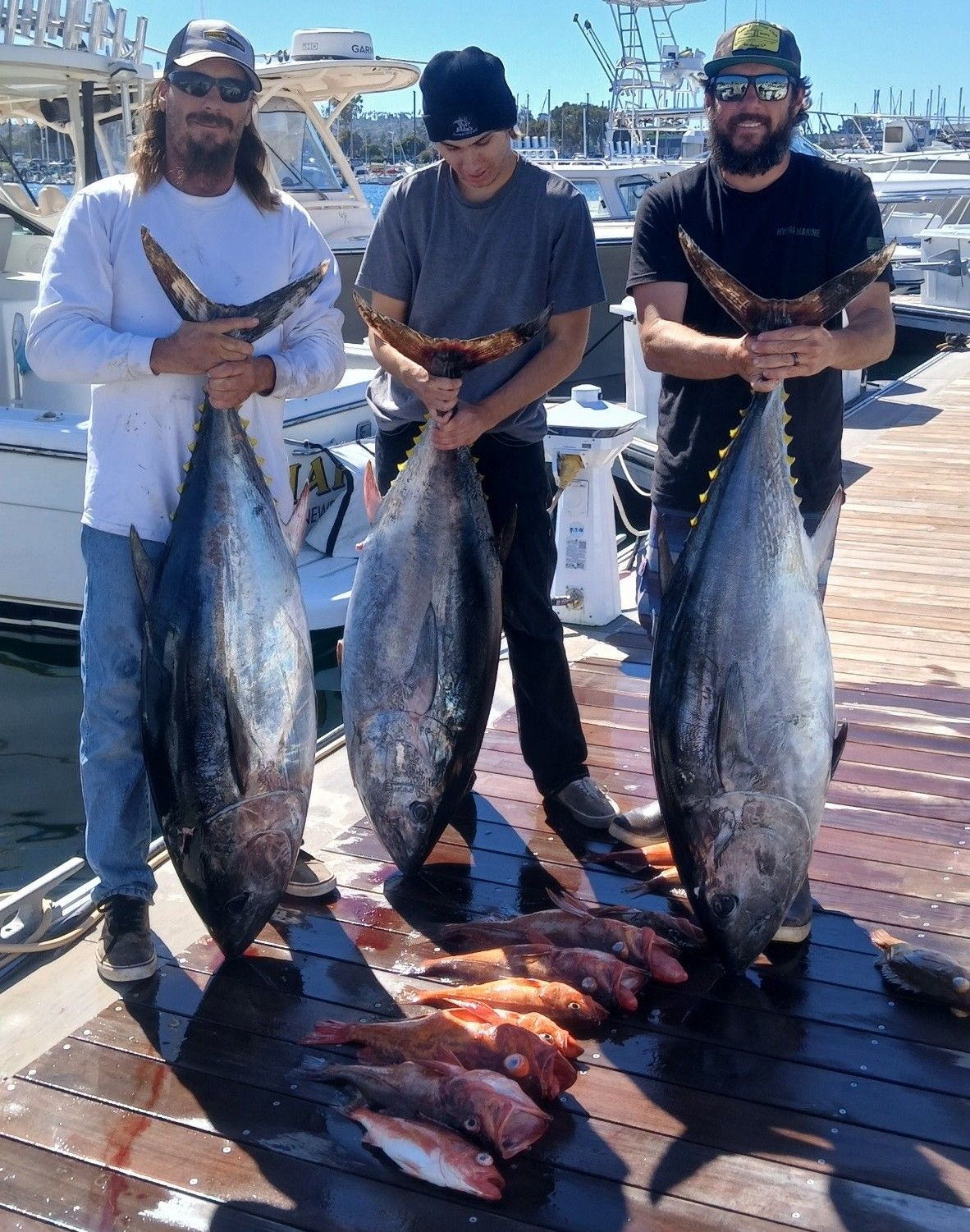 San Diego Bluefin Tuna Fishing Charter