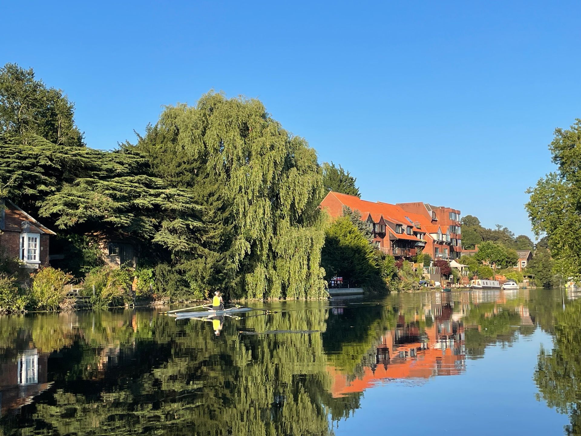 A large body of water surrounded by trees and buildings