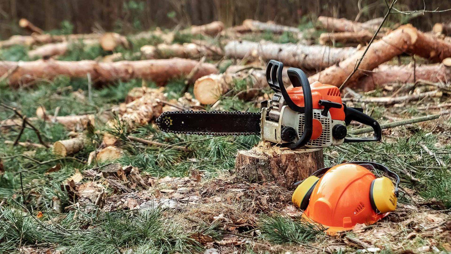 A chainsaw is sitting on top of a stump in the woods.