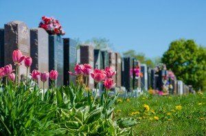 Cemetery West Valley City UT Funeral Home And Cremations Cemetery in West Valley City, UT