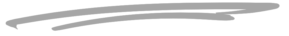 Thin gray scribble line on a white background