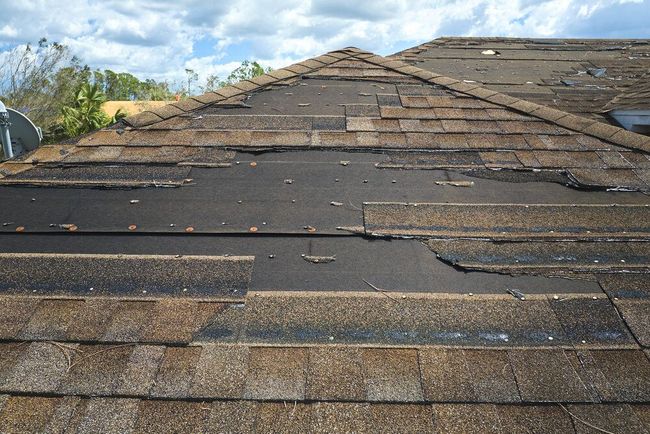 siding services