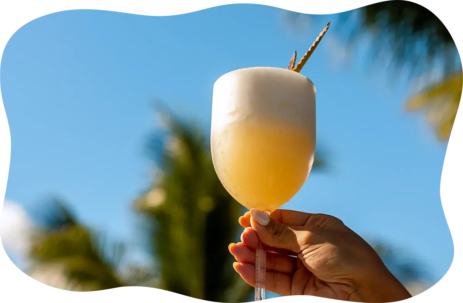 Uma pessoa está segurando uma taça de vinho com uma bebida dentro