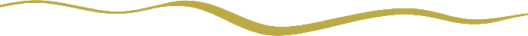 Um close de uma linha amarela em um fundo branco.