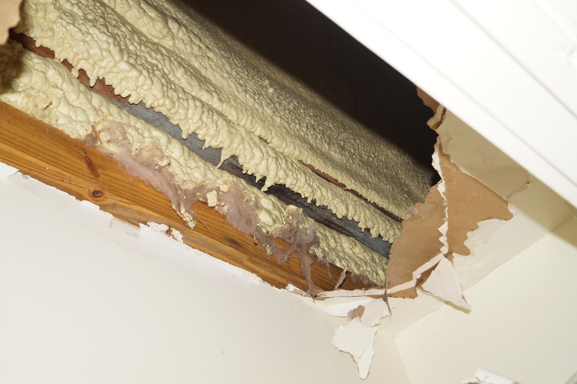 Damaged ceiling with exposed insulation and peeling plaster near a white wall