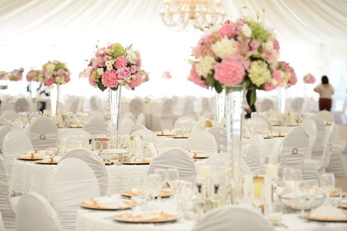 There Are Many Tables and Chairs Set Up for a Wedding Reception — The Flower Station Townsville In Kirwan, QLD There Are Many Tables and Chairs Set Up for a Wedding Reception — The Flower Station Townsville In Kirwan, QLD